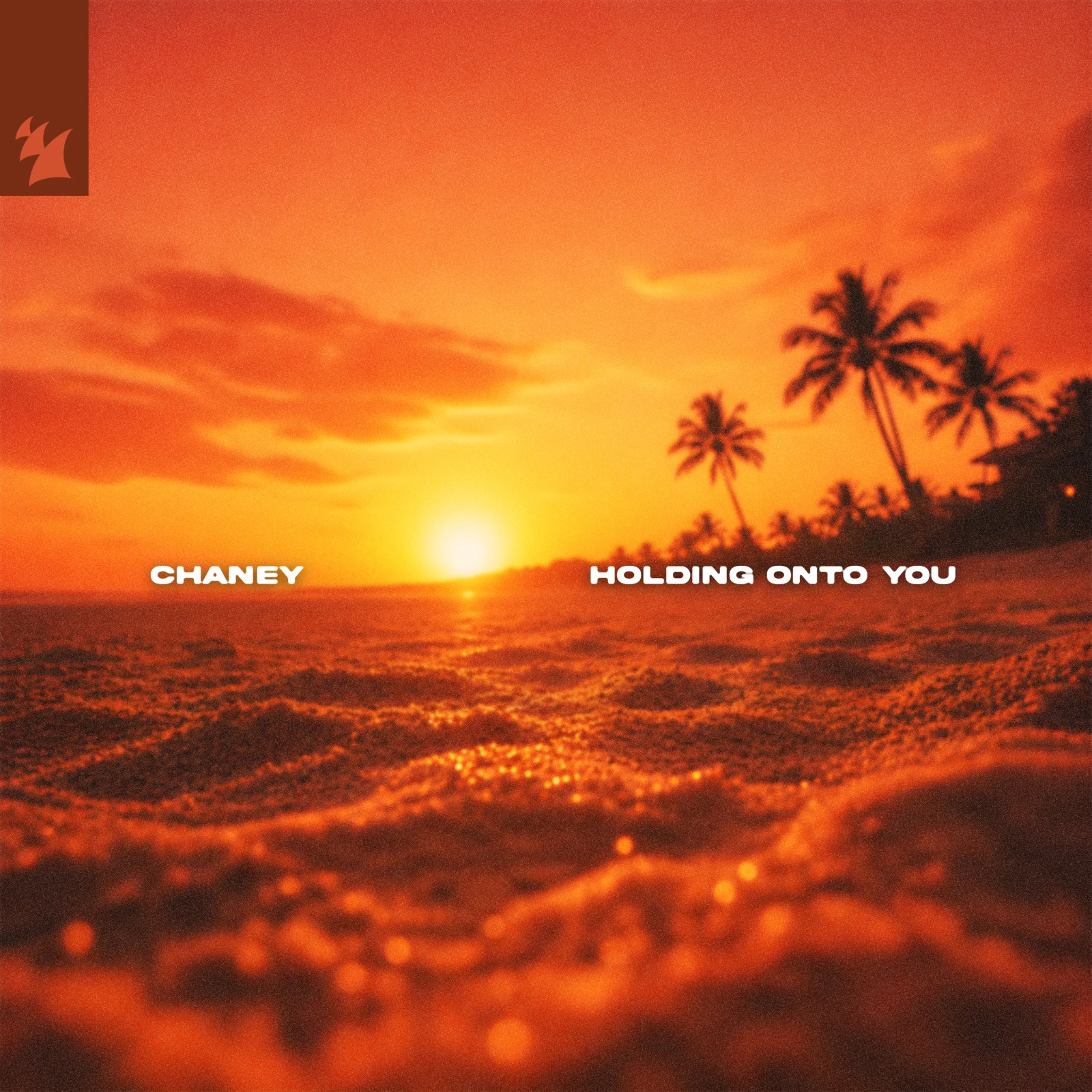 Holding On To You [Armada Music]